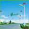 Iluminação solar comercial branca profissional da cor 120W com os painéis solares do picovolt