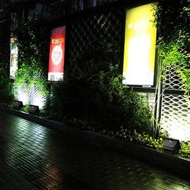 CE exterior solar eficiente RoHs das luzes de inundação do diodo emissor de luz da energia para a iluminação da paisagem